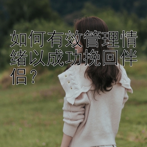 如何有效管理情绪以成功挽回伴侣？