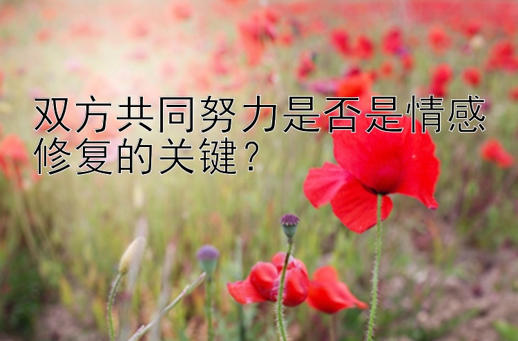 双方共同努力是否是情感修复的关键？