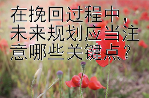 在挽回过程中，未来规划应当注意哪些关键点？