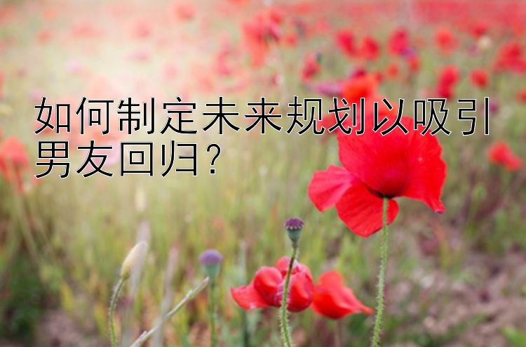 如何制定未来规划以吸引男友回归？