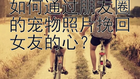 如何通过朋友圈的宠物照片挽回女友的心？