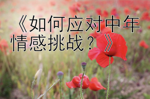 《如何应对中年情感挑战？》