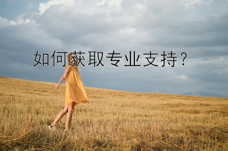 如何获取专业支持？