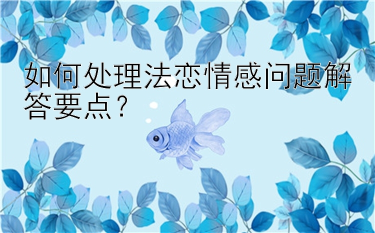 如何处理法恋情感问题解答要点？