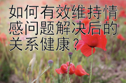 如何有效维持情感问题解决后的关系健康？