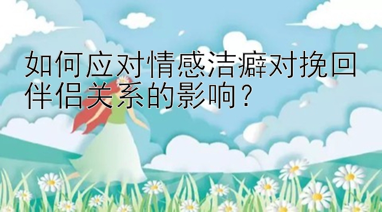 如何应对情感洁癖对挽回伴侣关系的影响？