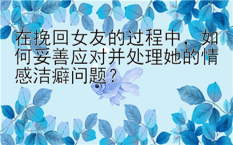 在挽回女友的过程中，如何妥善应对并处理她的情感洁癖问题？