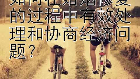 如何在婚姻修复的过程中有效处理和协商经济问题？